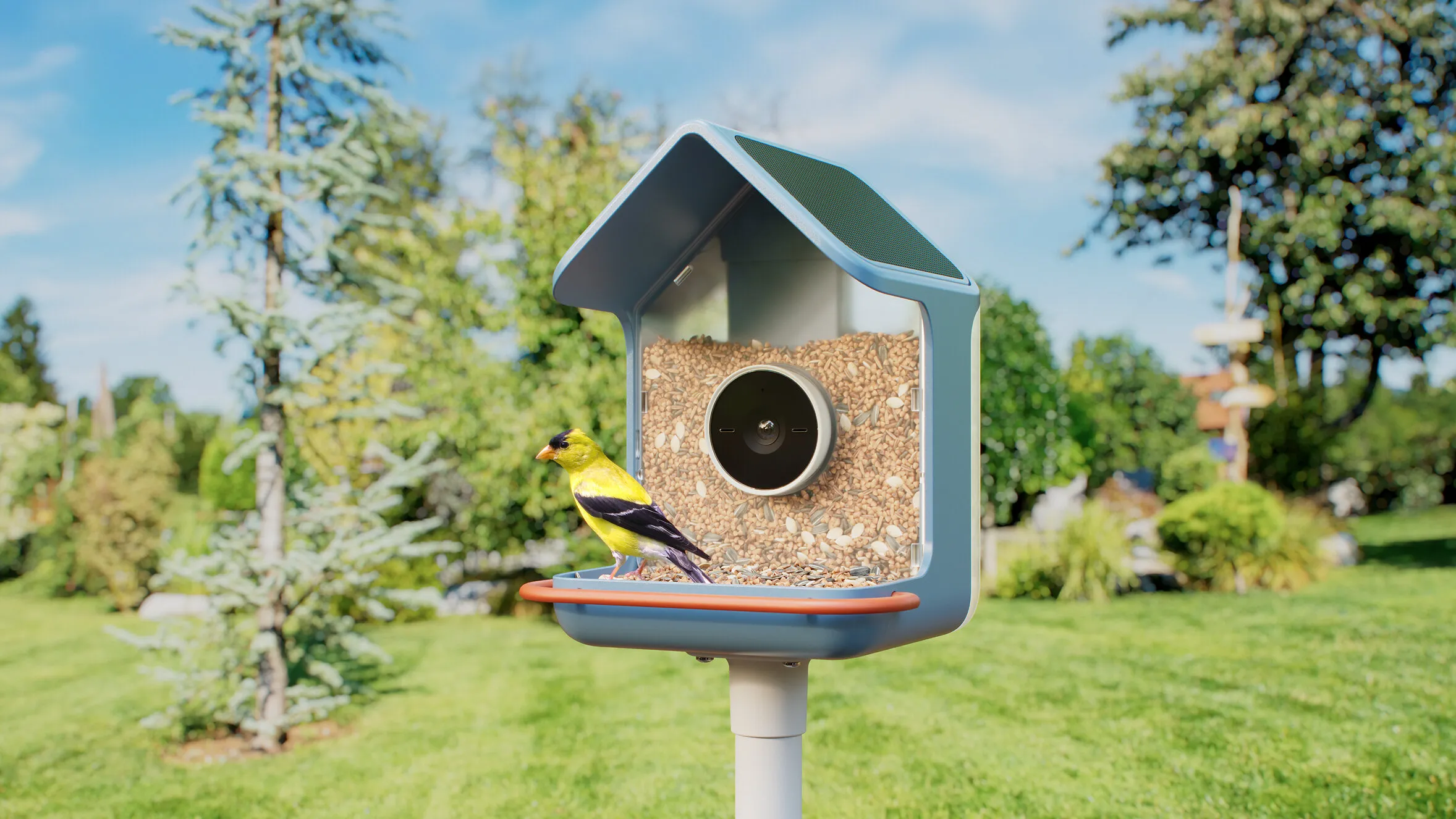 A yellow bird perched on a smart bird feeder with a camera in a sunny garden